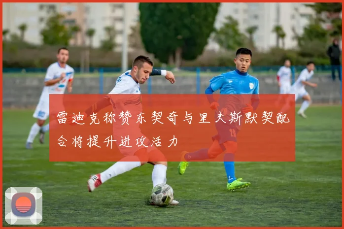 雷迪克称赞东契奇与里夫斯默契配合将提升进攻活力
