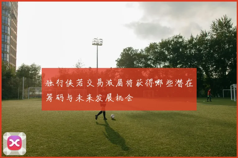 独行侠若交易浓眉将获得哪些潜在筹码与未来发展机会